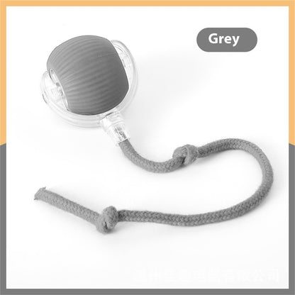 Interactive Cat Toys for Cats