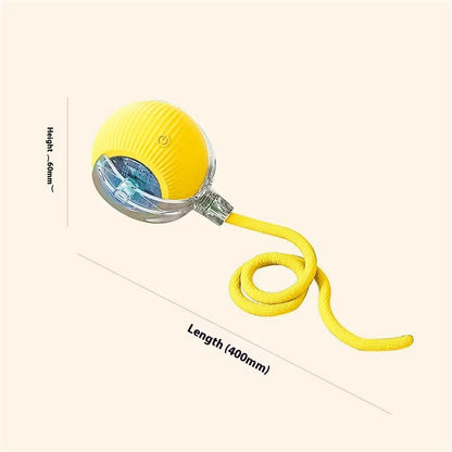 Interactive Cat Toys for Cats