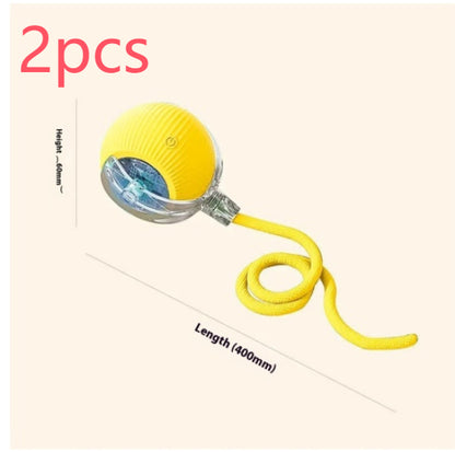 Interactive Cat Toys for Cats