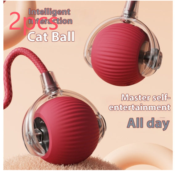 Interactive Cat Toys for Cats