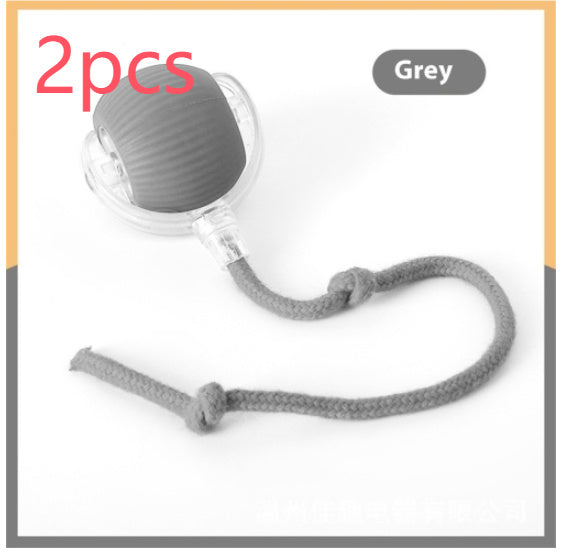 Interactive Cat Toys for Cats
